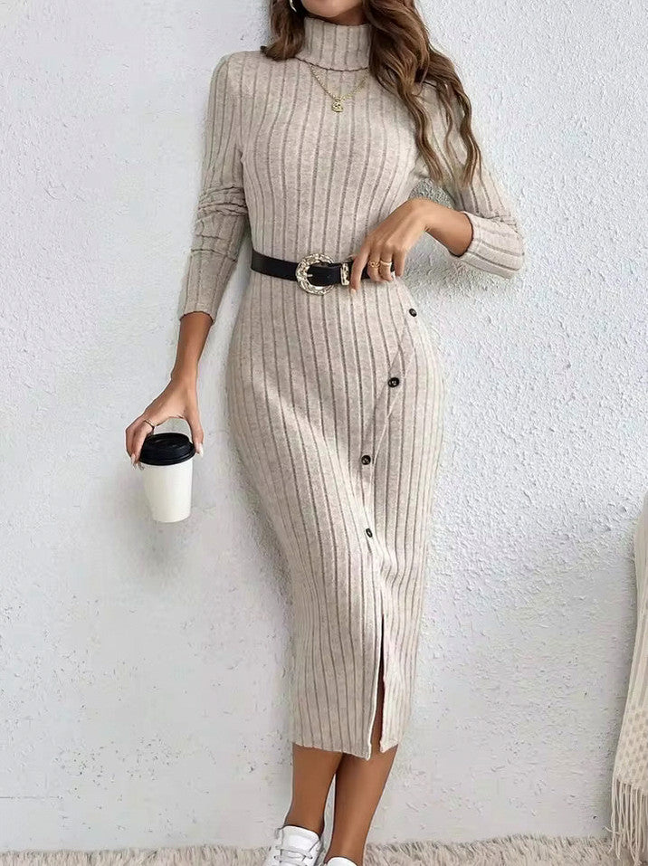 Ribbed Knit Long Sleeve Turtleneck Sweater Dress