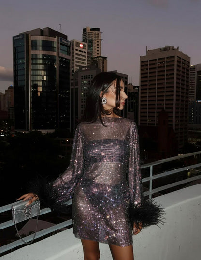 Sequin Mesh Long Sleeve Mini Dress