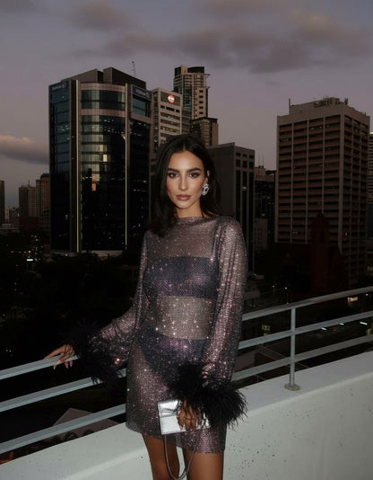 Sequin Mesh Long Sleeve Mini Dress
