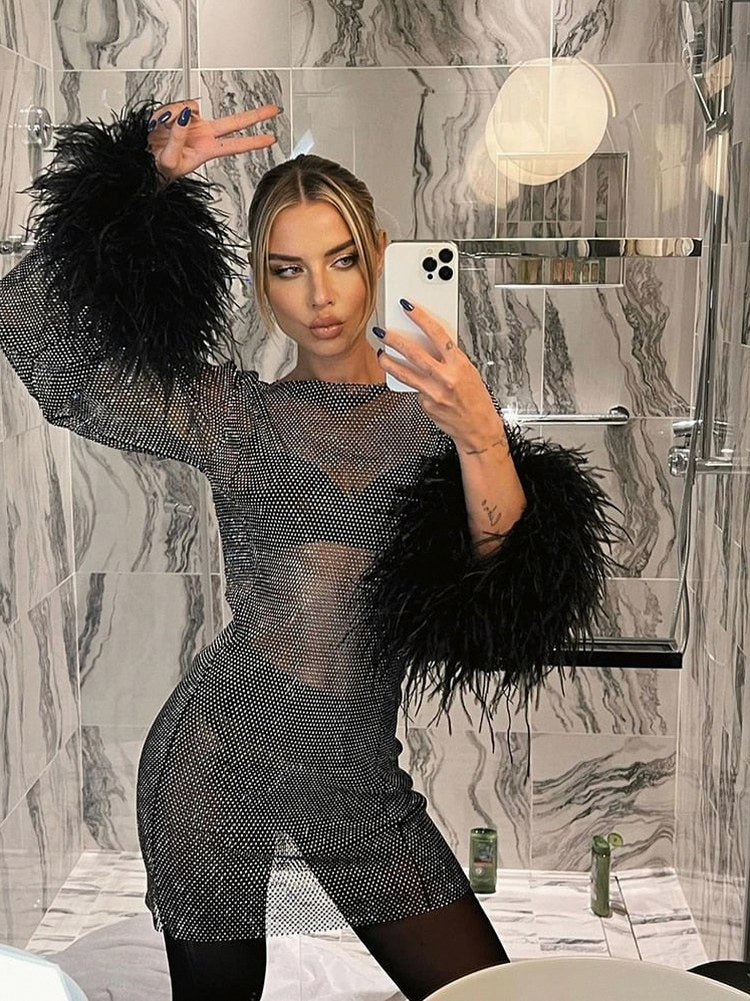 Sequin Mesh Long Sleeve Mini Dress