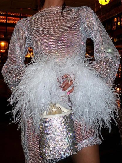 Sequin Mesh Long Sleeve Mini Dress