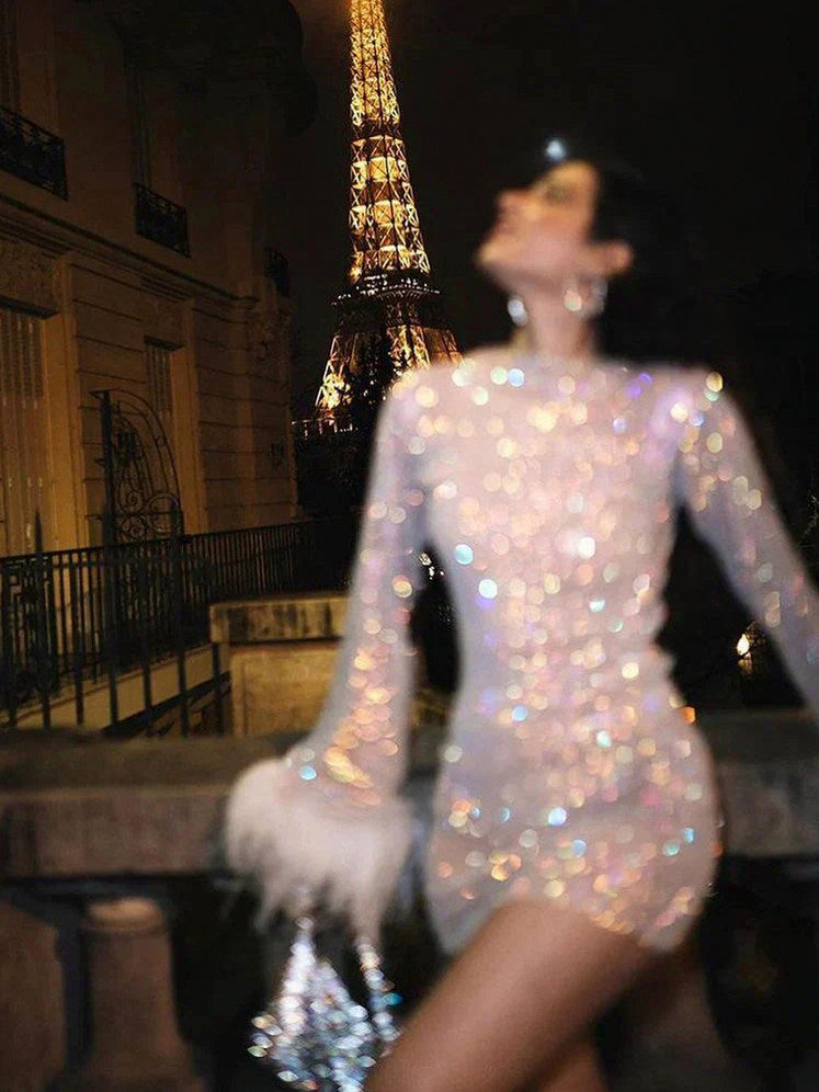 Sequin Mesh Long Sleeve Mini Dress